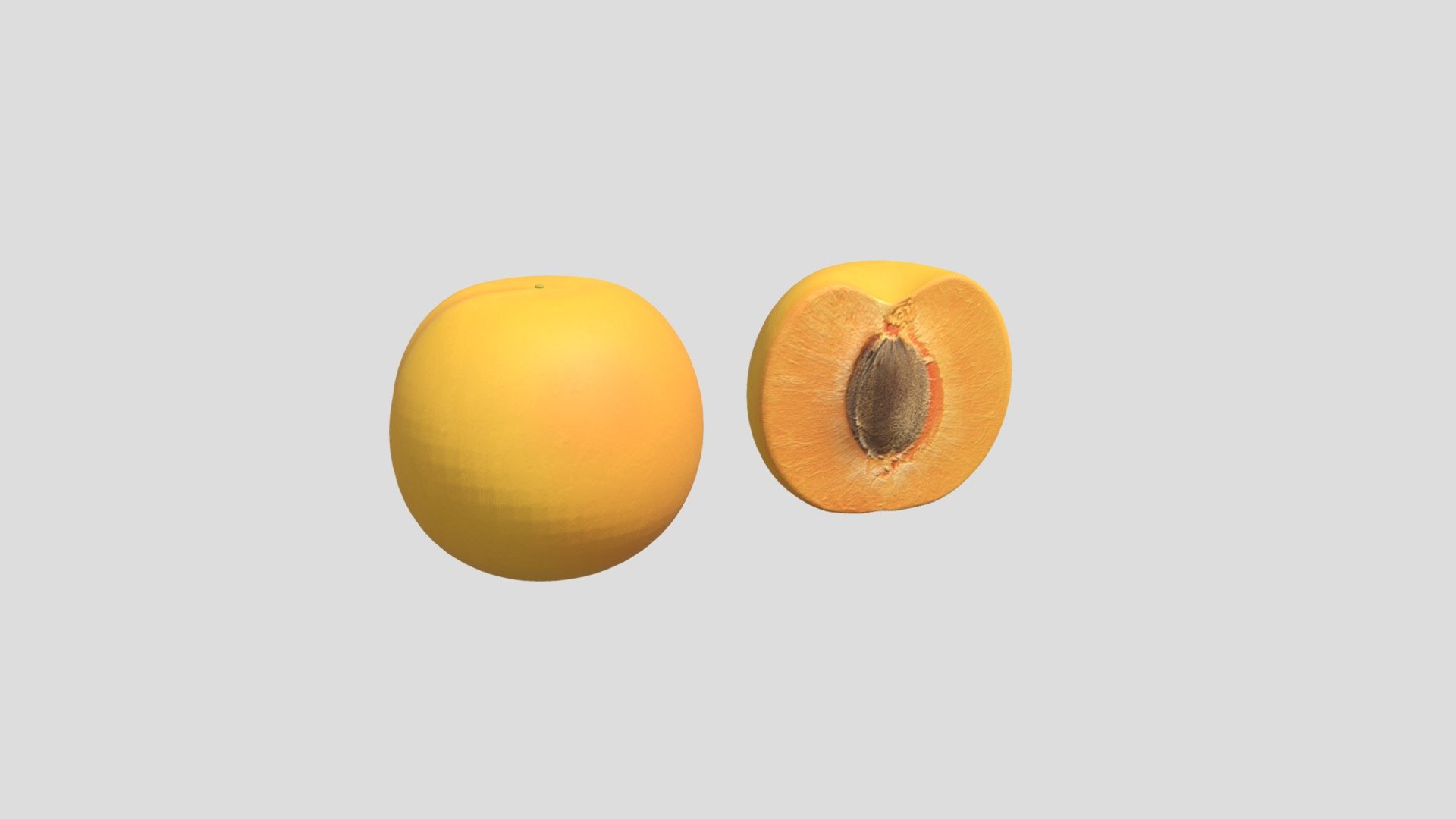 Apricot 3d model