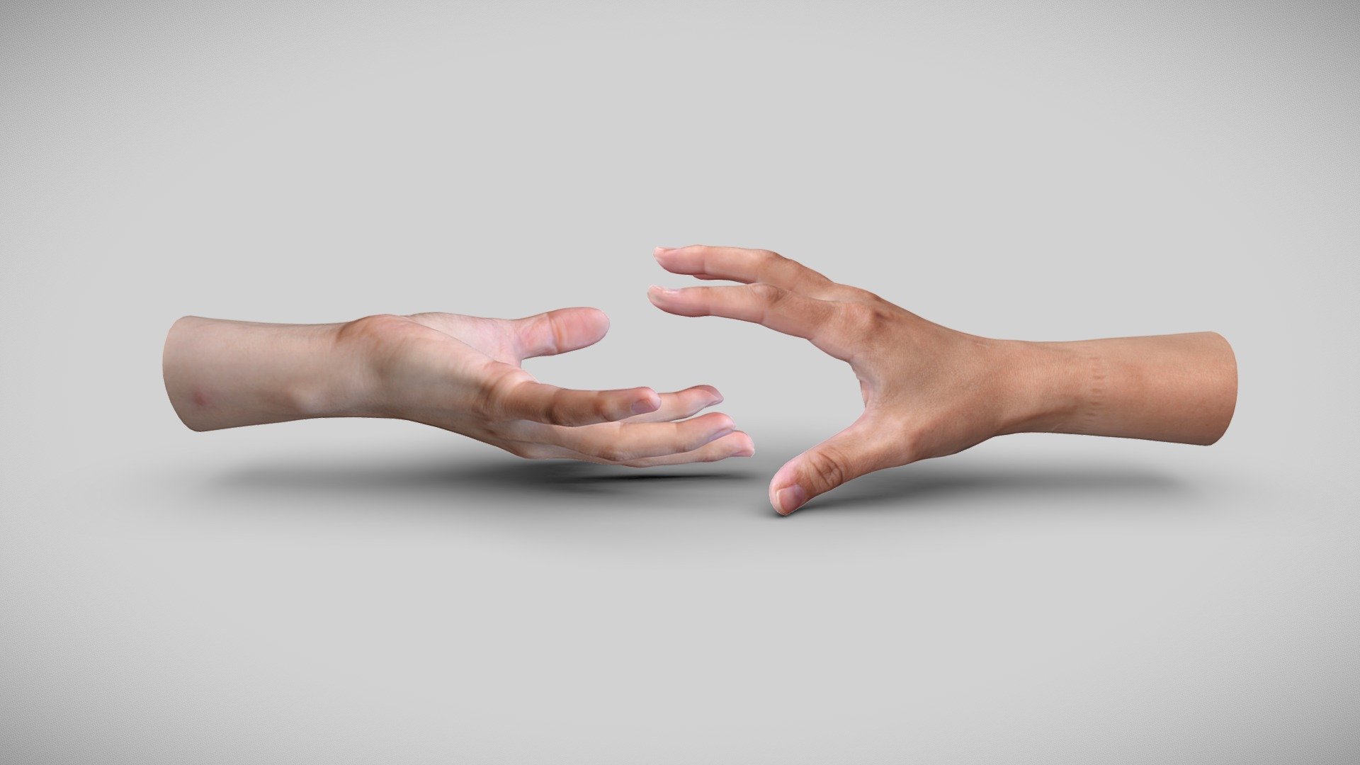 Female Hands 3d model