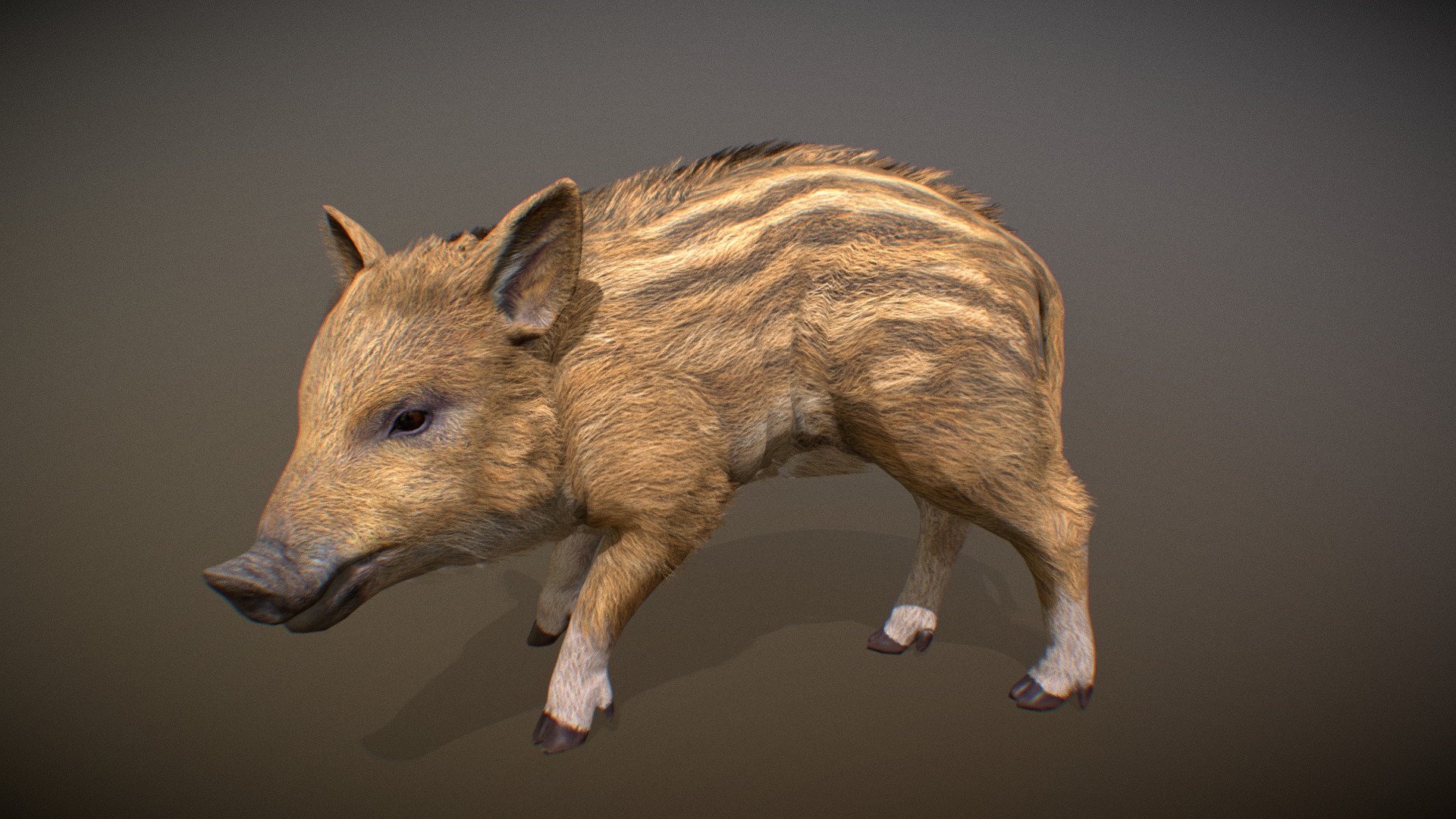 Animalia 3d model