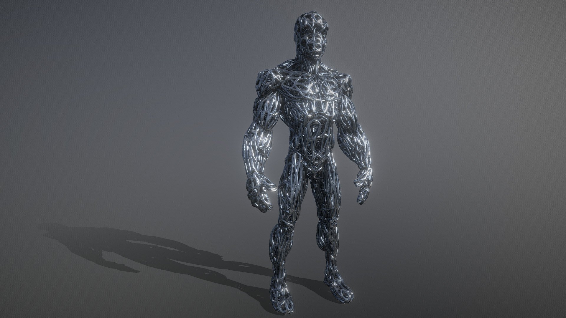 WIRE-CYBORG 3d model