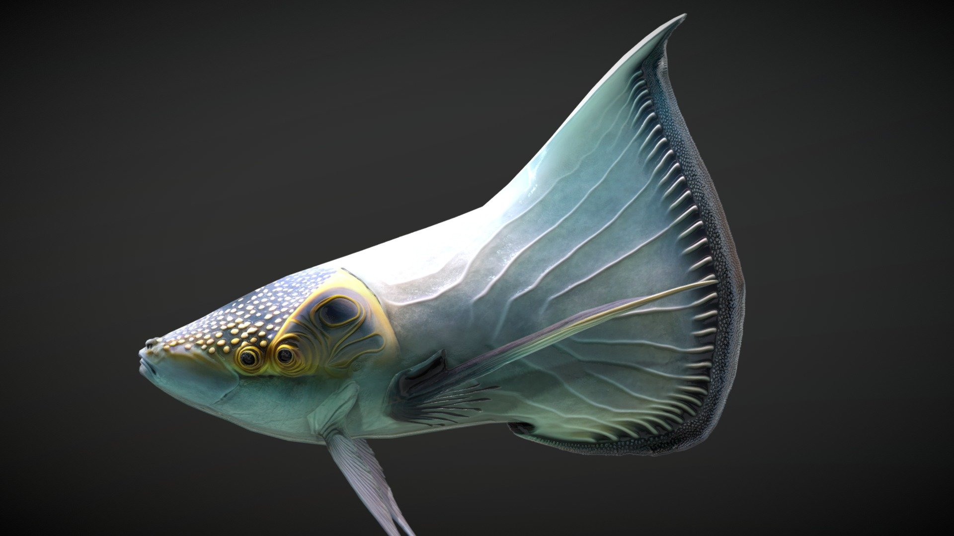 Alien Fantasy Fish 3d model