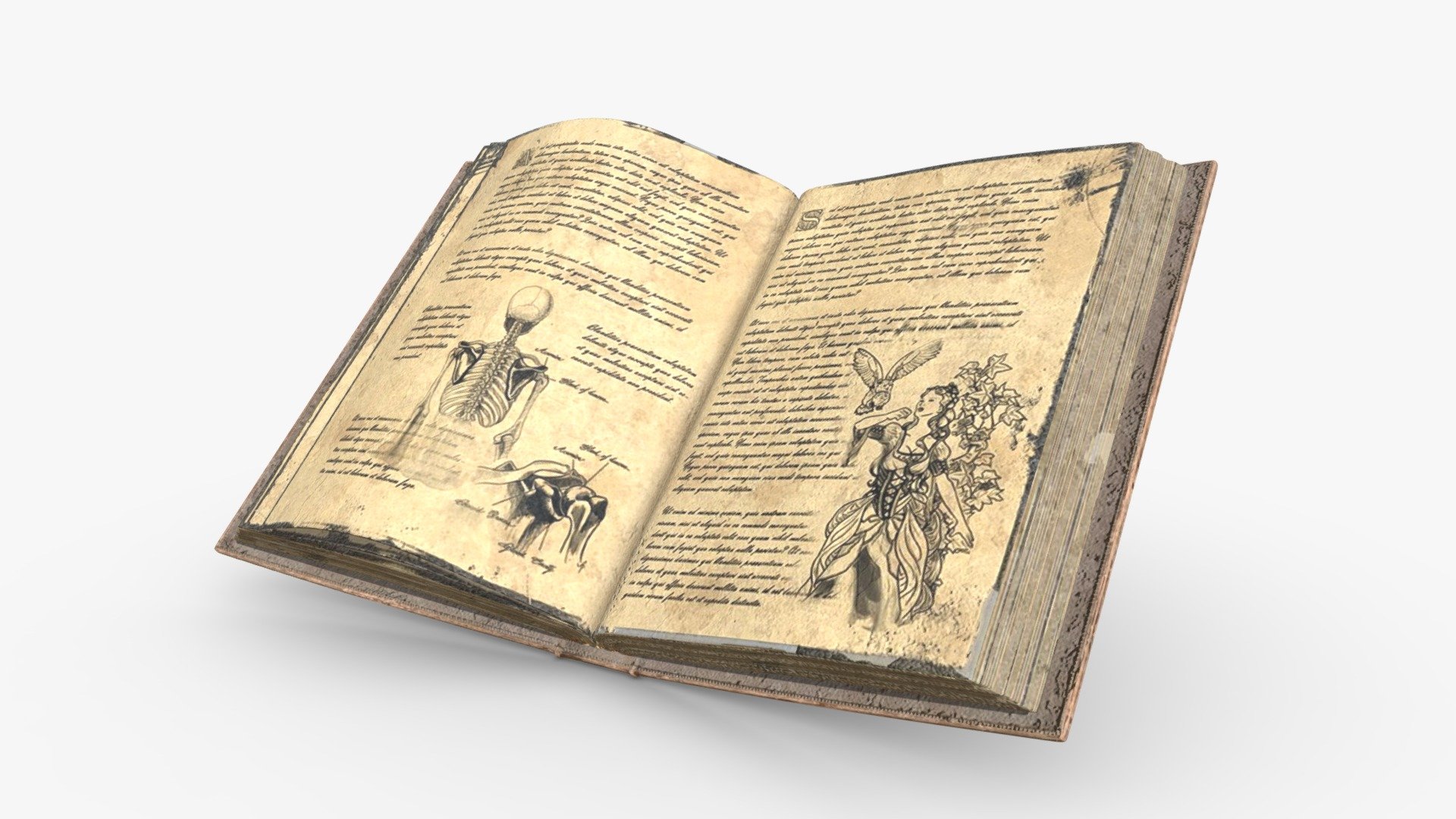 Old Book 3d model