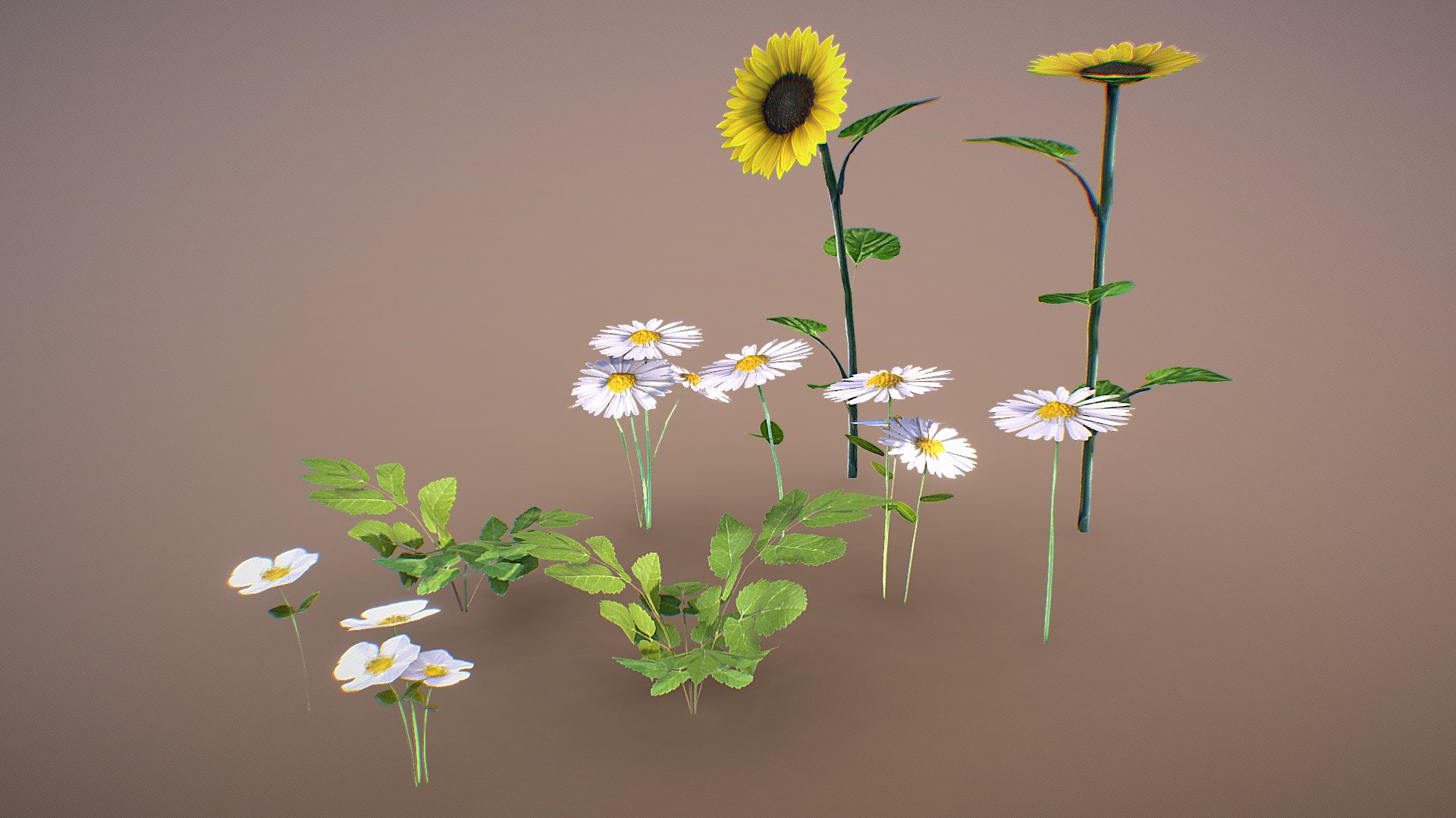 Bush, Daisies, Sunflower 3d model