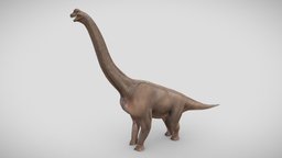 Brachiosaurus