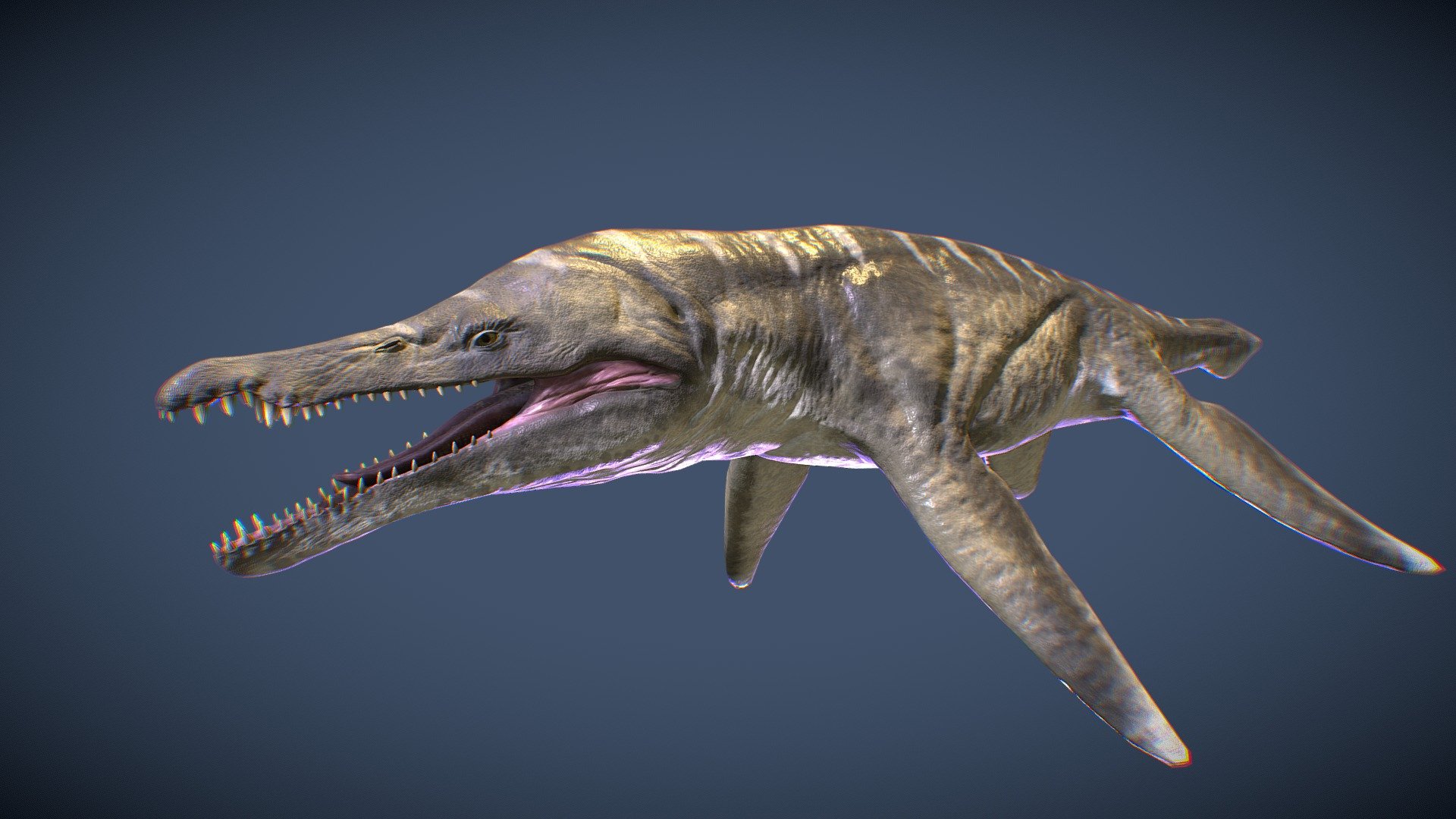 Liopleurodon (for animation) 3d model