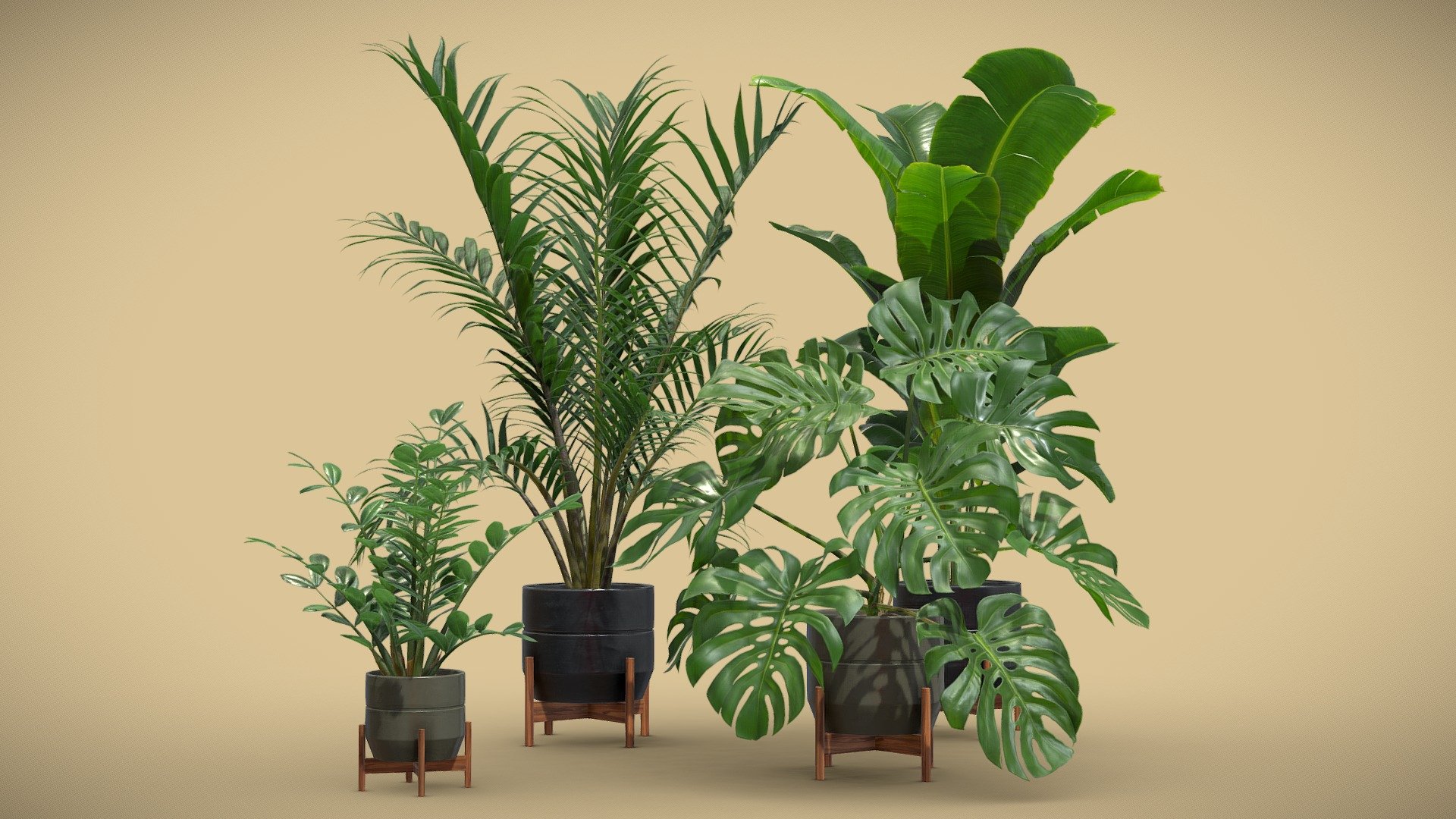 Indoor Plants Pack 48 3d model