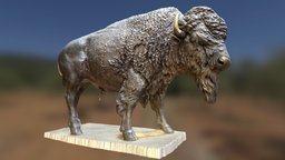 American Buffalo Statue