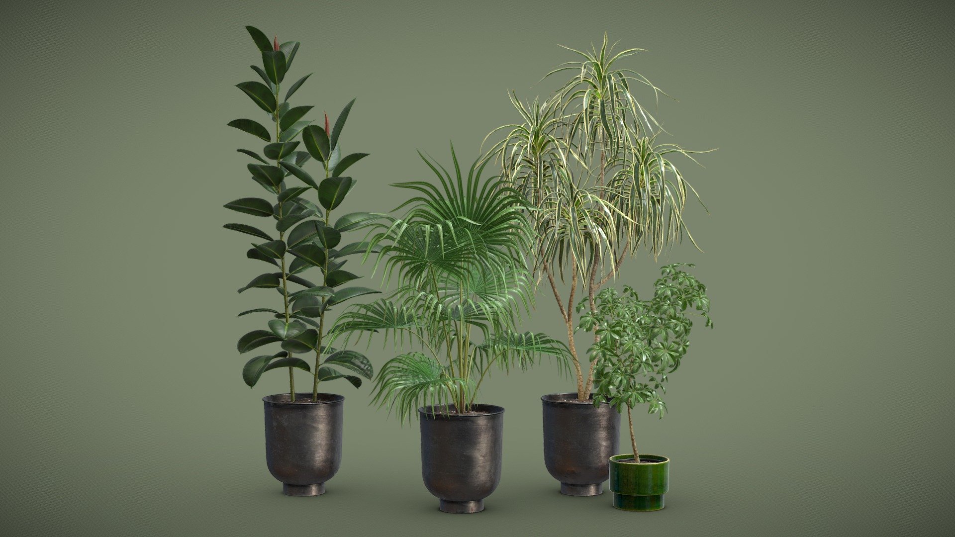 Indoor Plants Pack 52 3d model