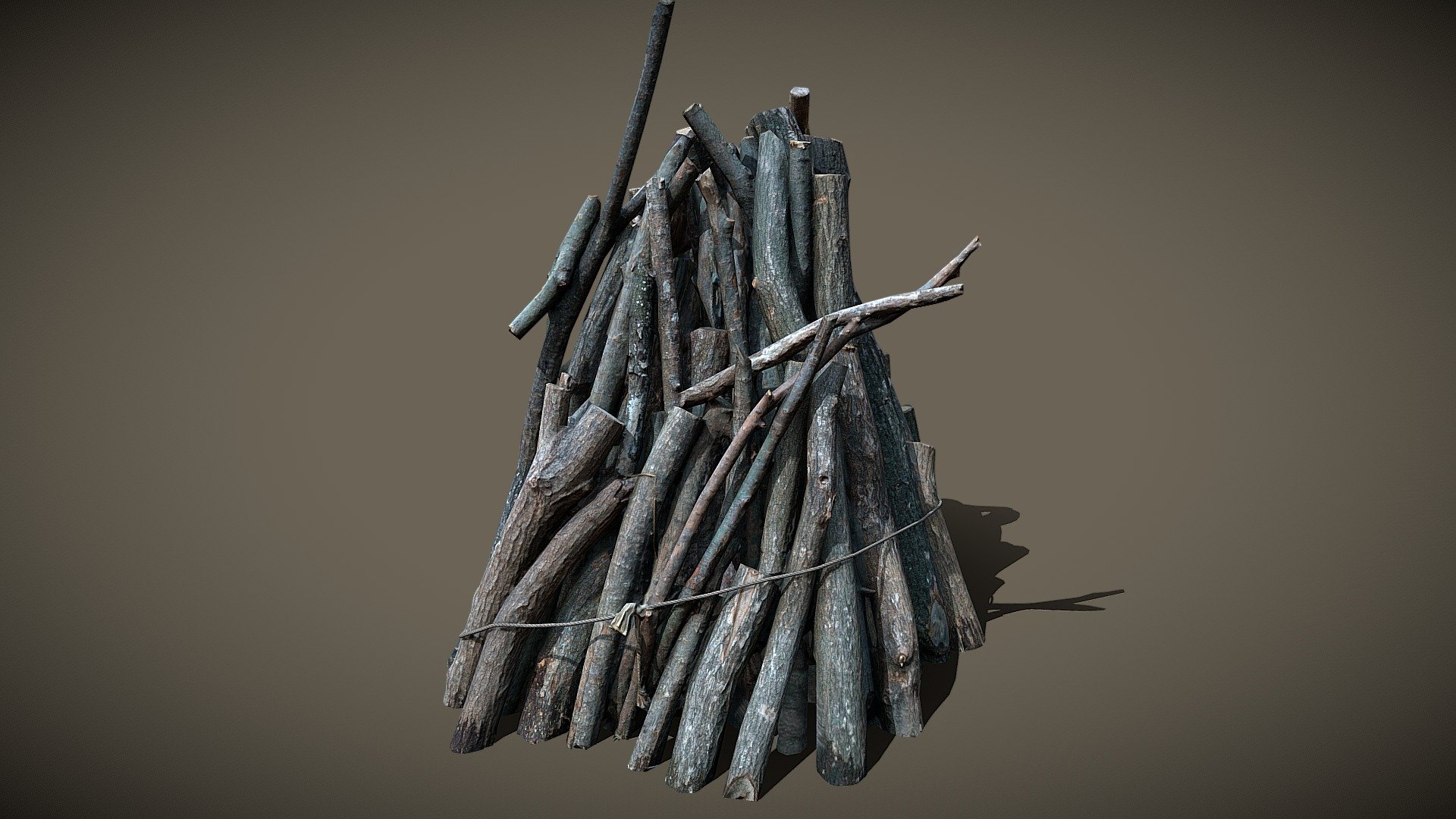 Woodpile 1 3d model