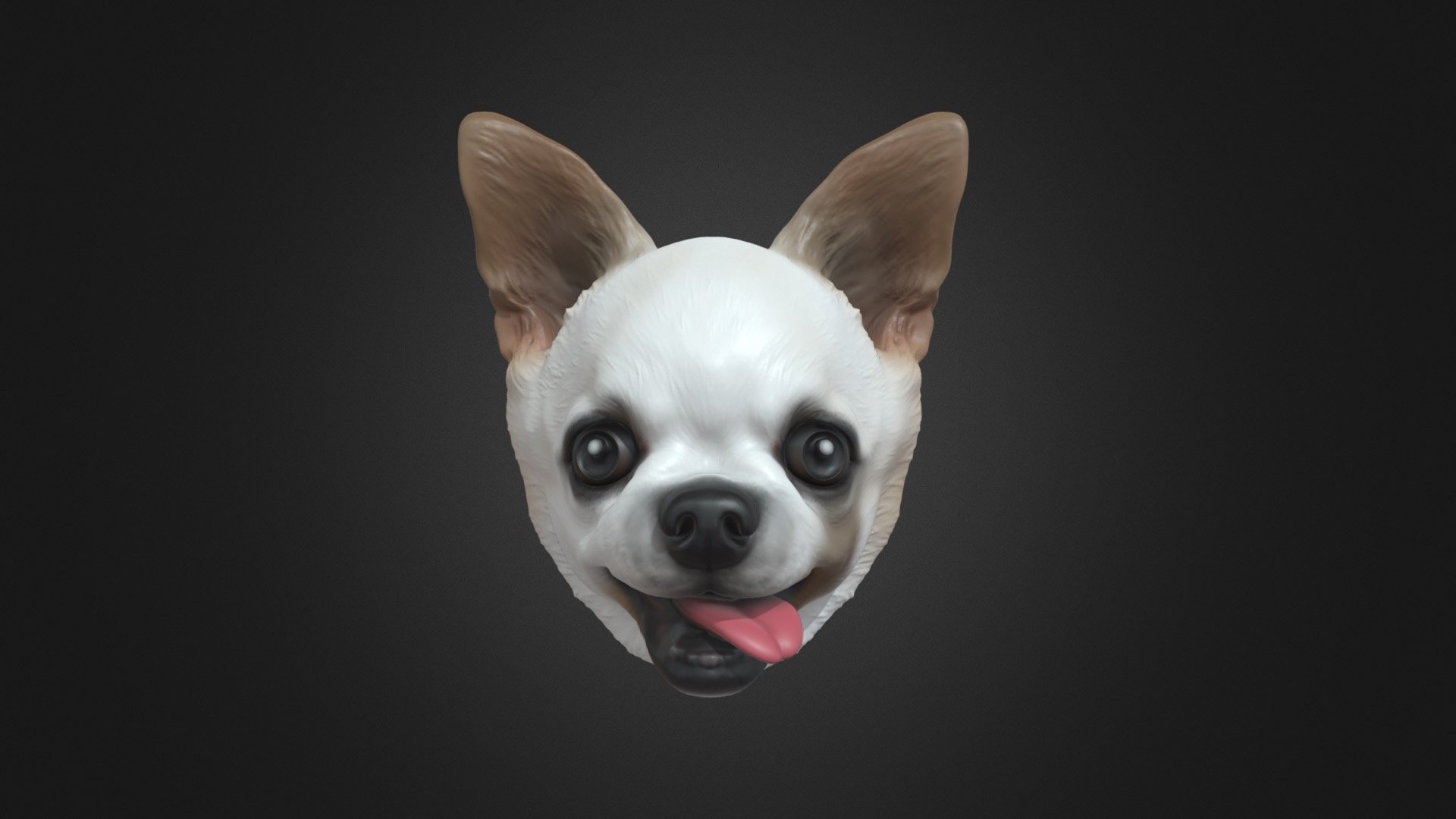 Jackies Chihuahua model 3d model