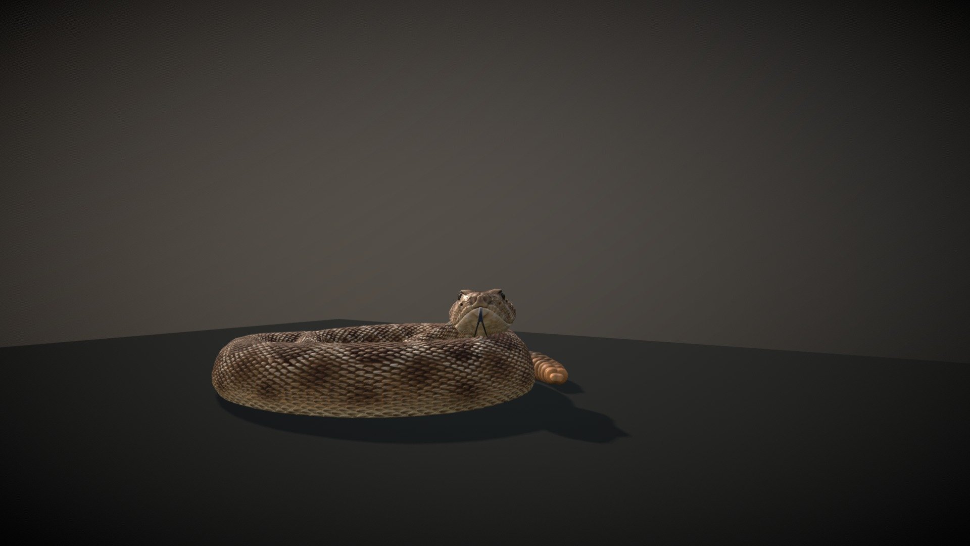 Rattlesnake 3d model