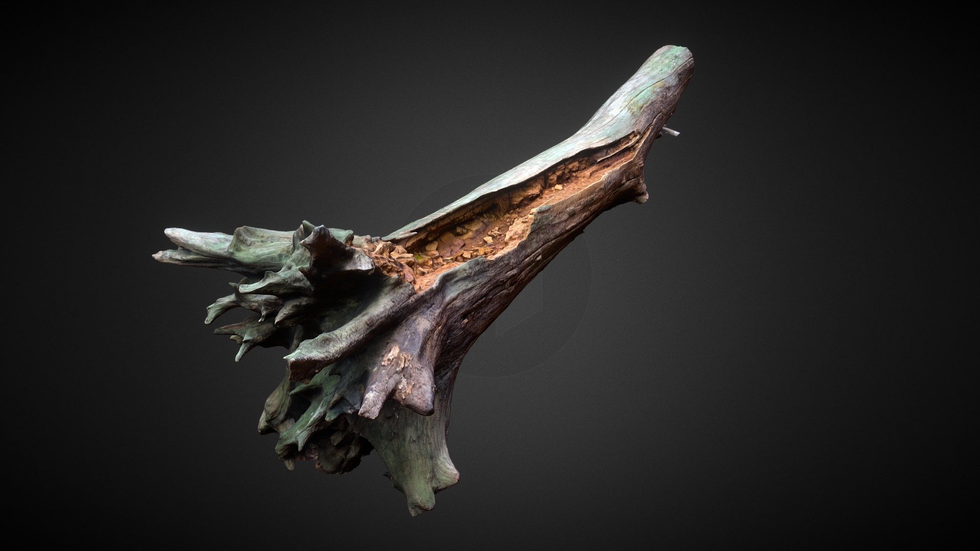 Decayed wood trunk 3d model