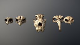 Skulls Masks