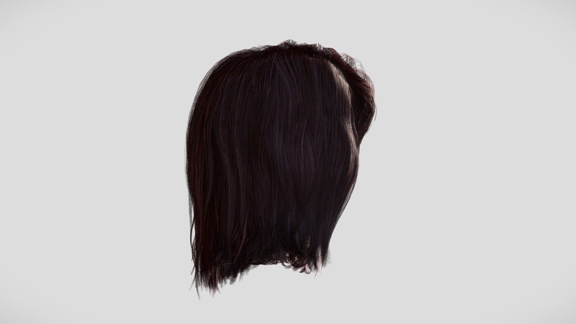 Hair Female 3d model