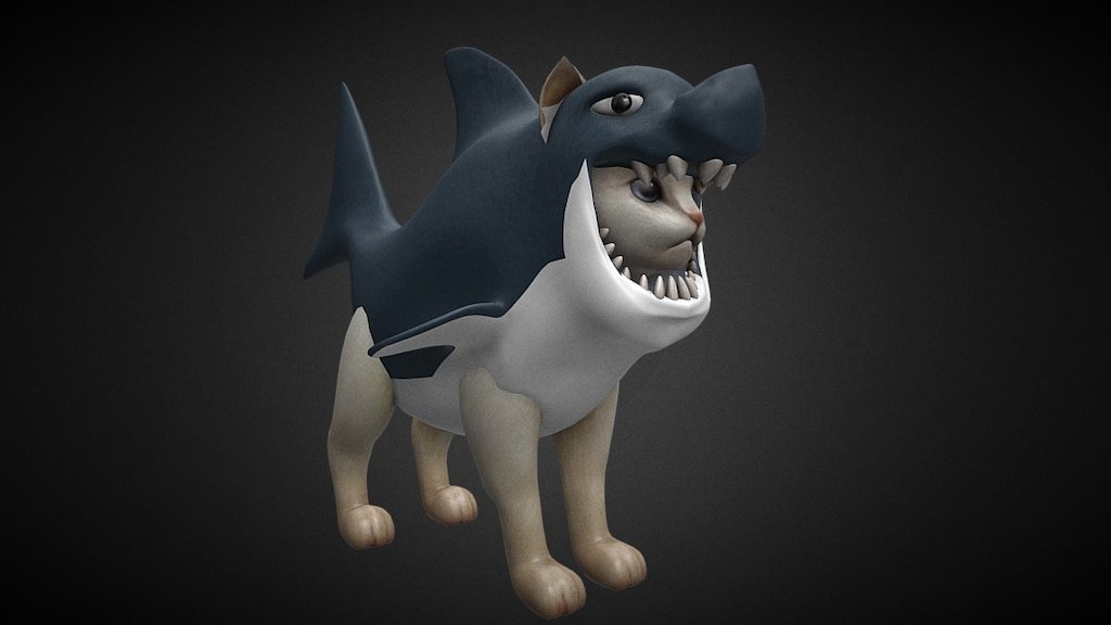 Cat shark 3d model