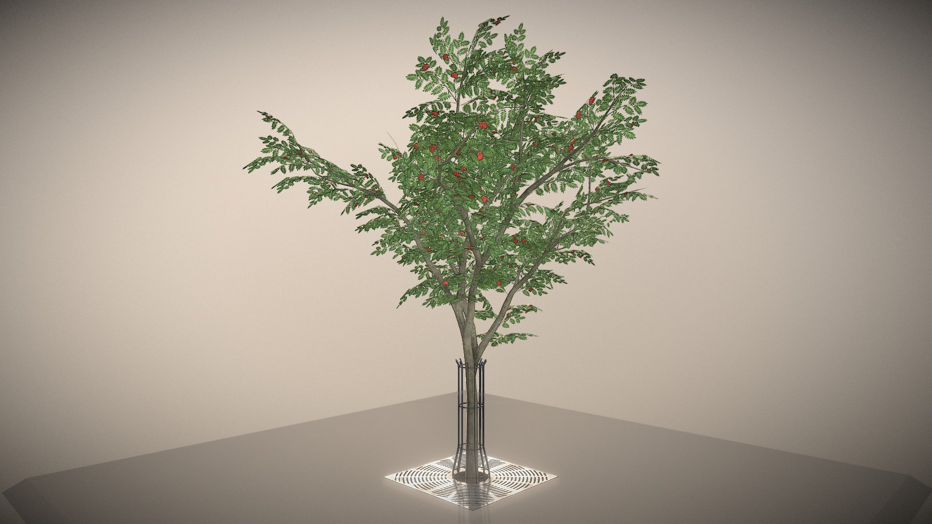 Rowan with Tree Guards and Tree Grille 3d model