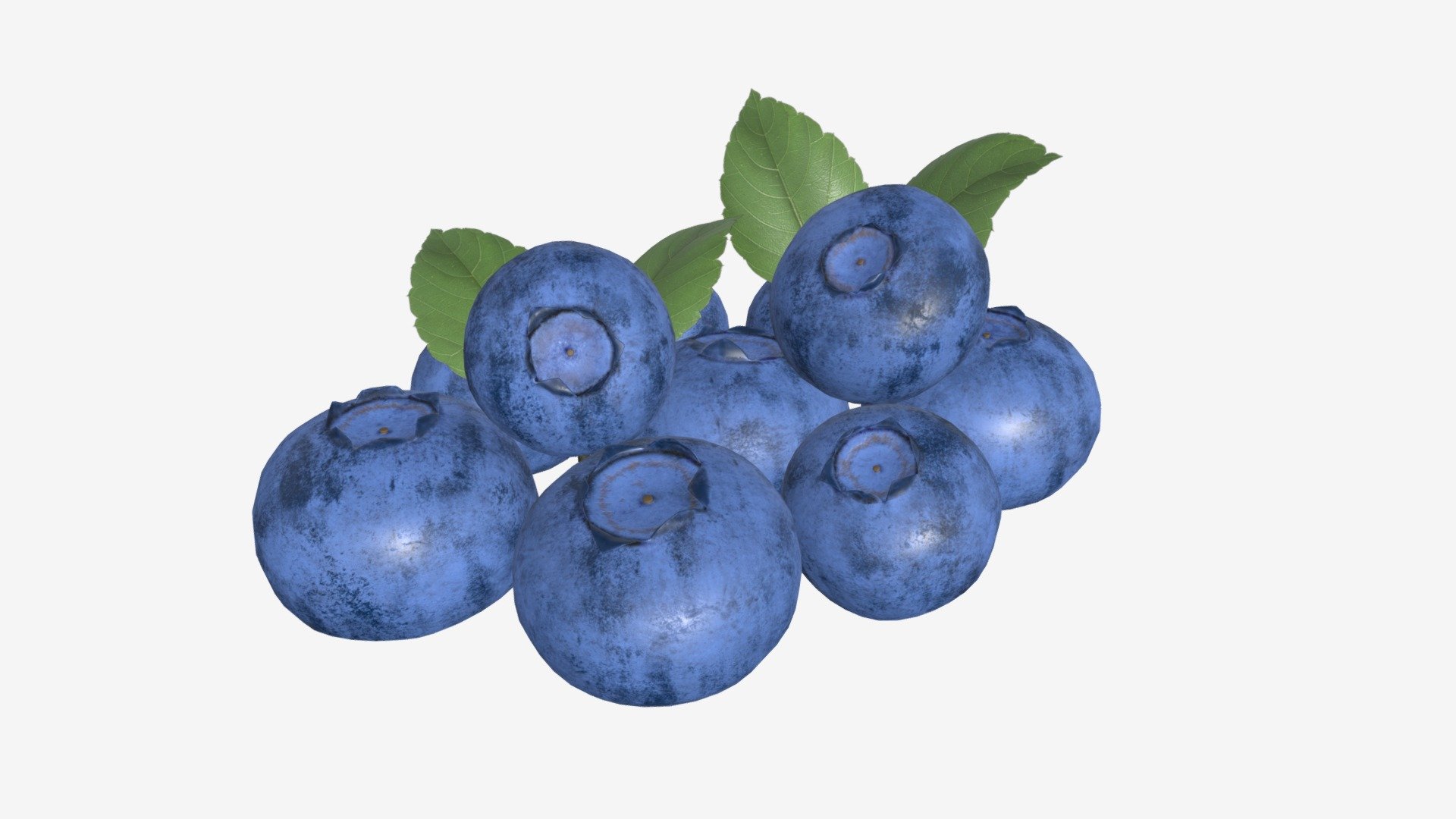 Blueberries with leaf 3d model