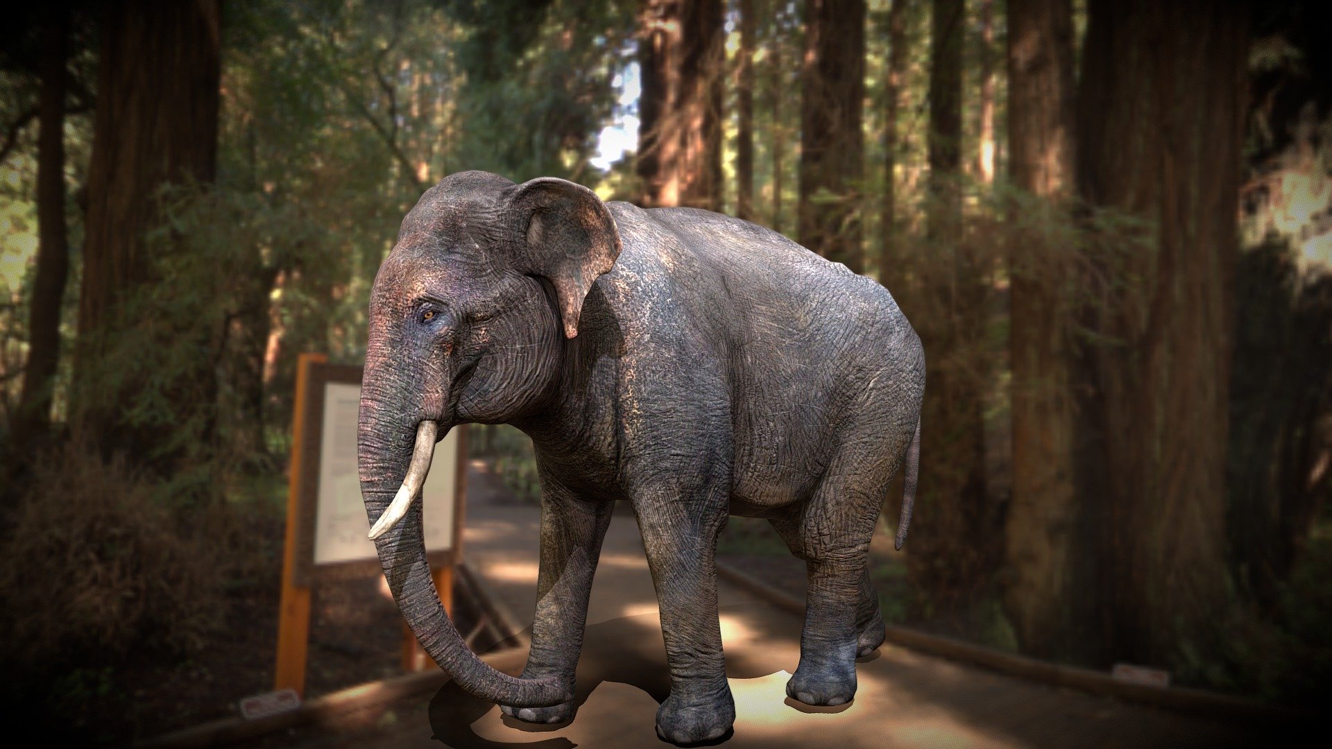 Elephant 3d model