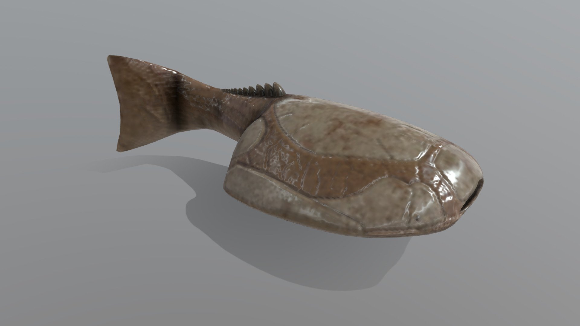 Drepanaspis 3d model