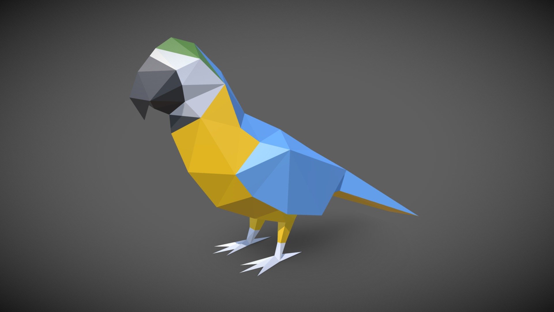 Bird 3d model