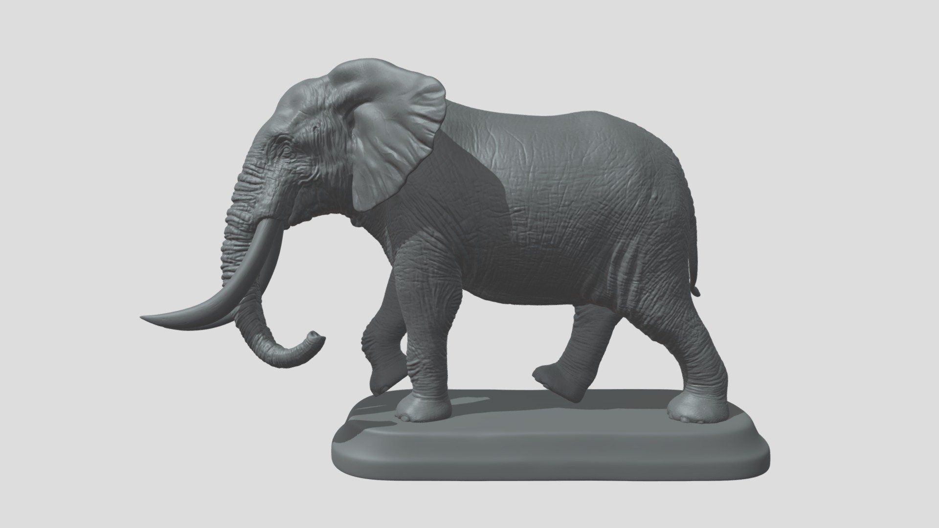 Elephant 3d model