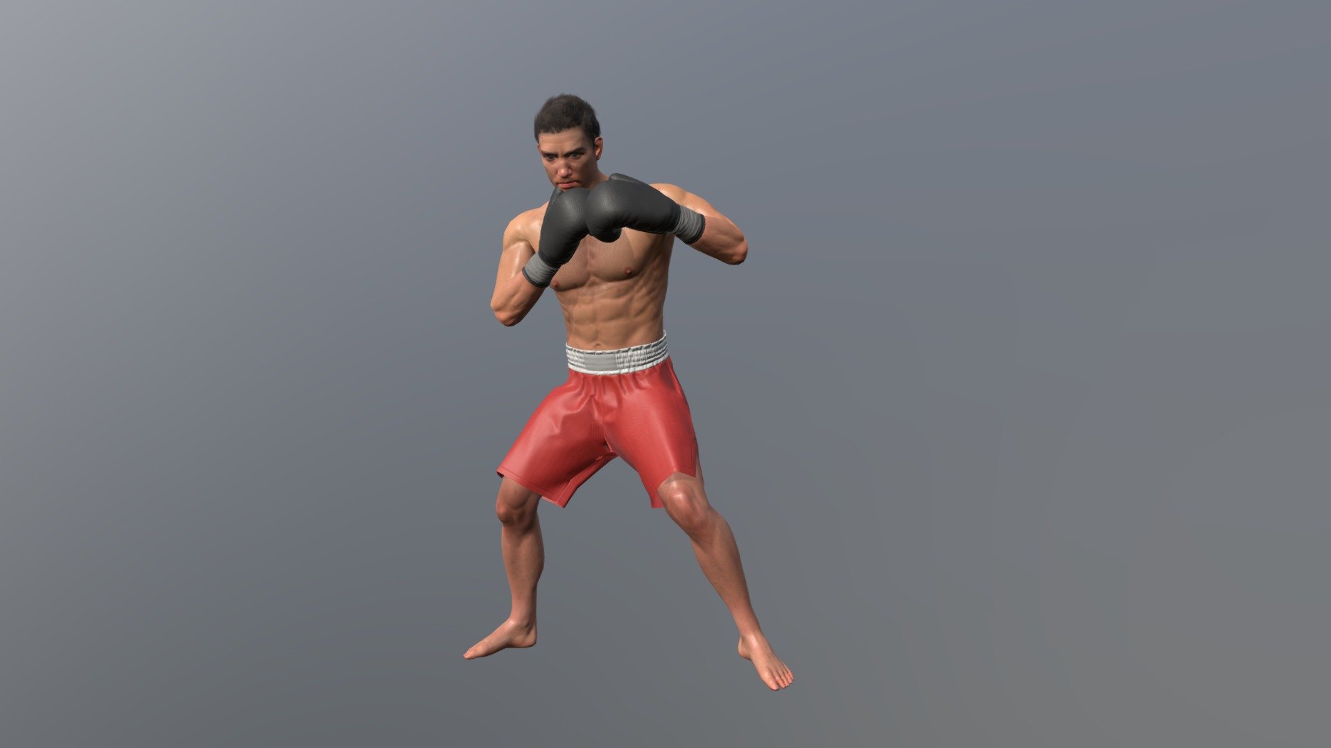 Male Boxer 041 3d model