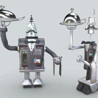 Robot butlers