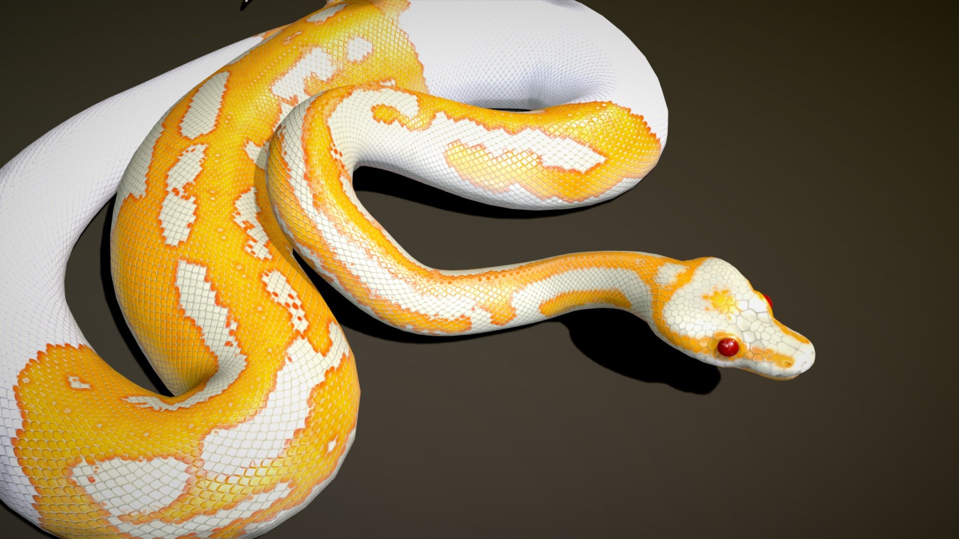 Dreamsicle Ball Python 3d model