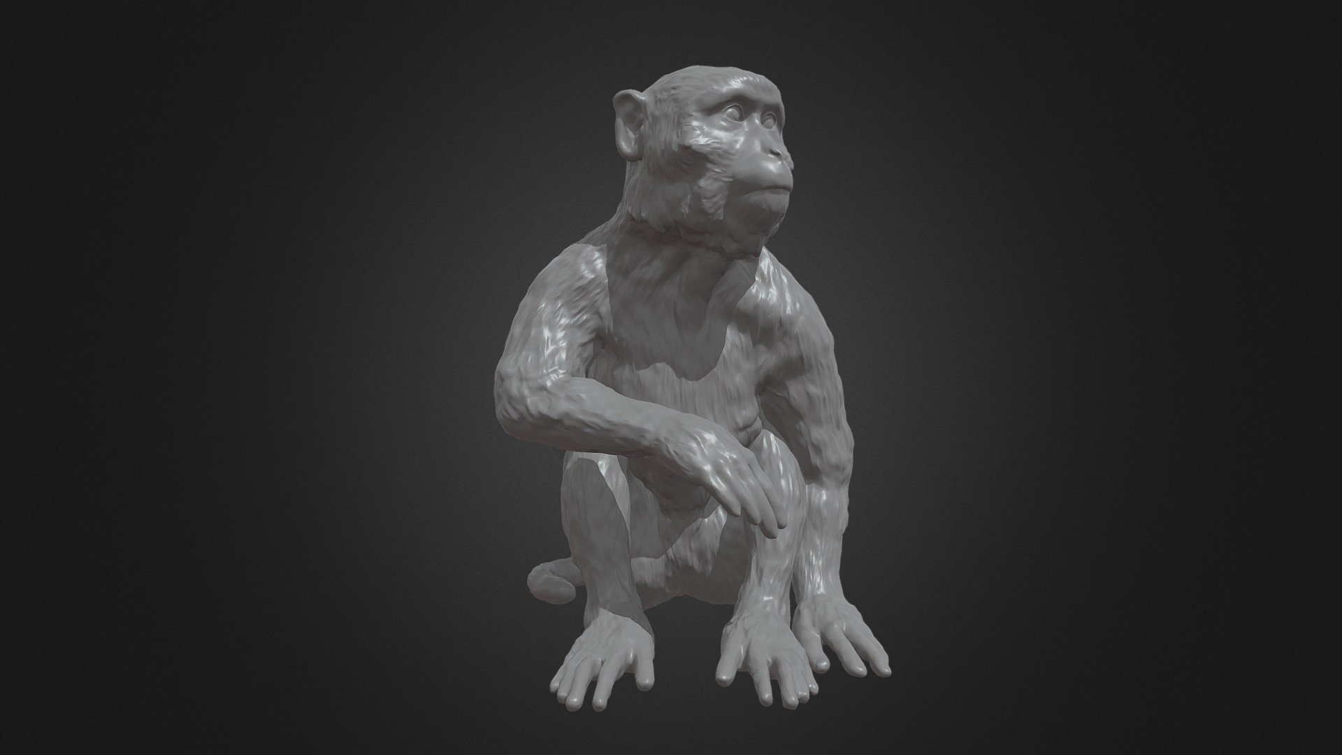 Long Tailed Macaque 3d model