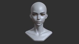 Stylized Anime Female Head