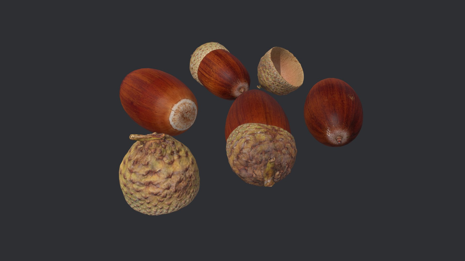 Acorns 3d model