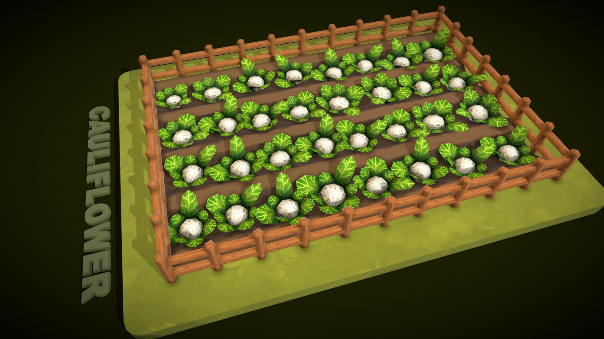 Cauliflower Farm 3d model