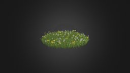 Grass with Sow-thistles 3D Model