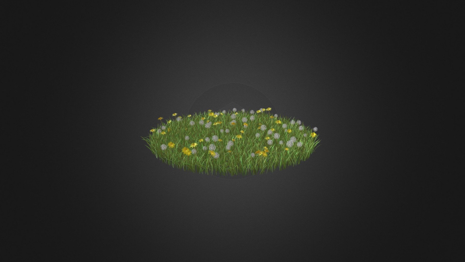 Grass with Sow-thistles 3D Model 3d model