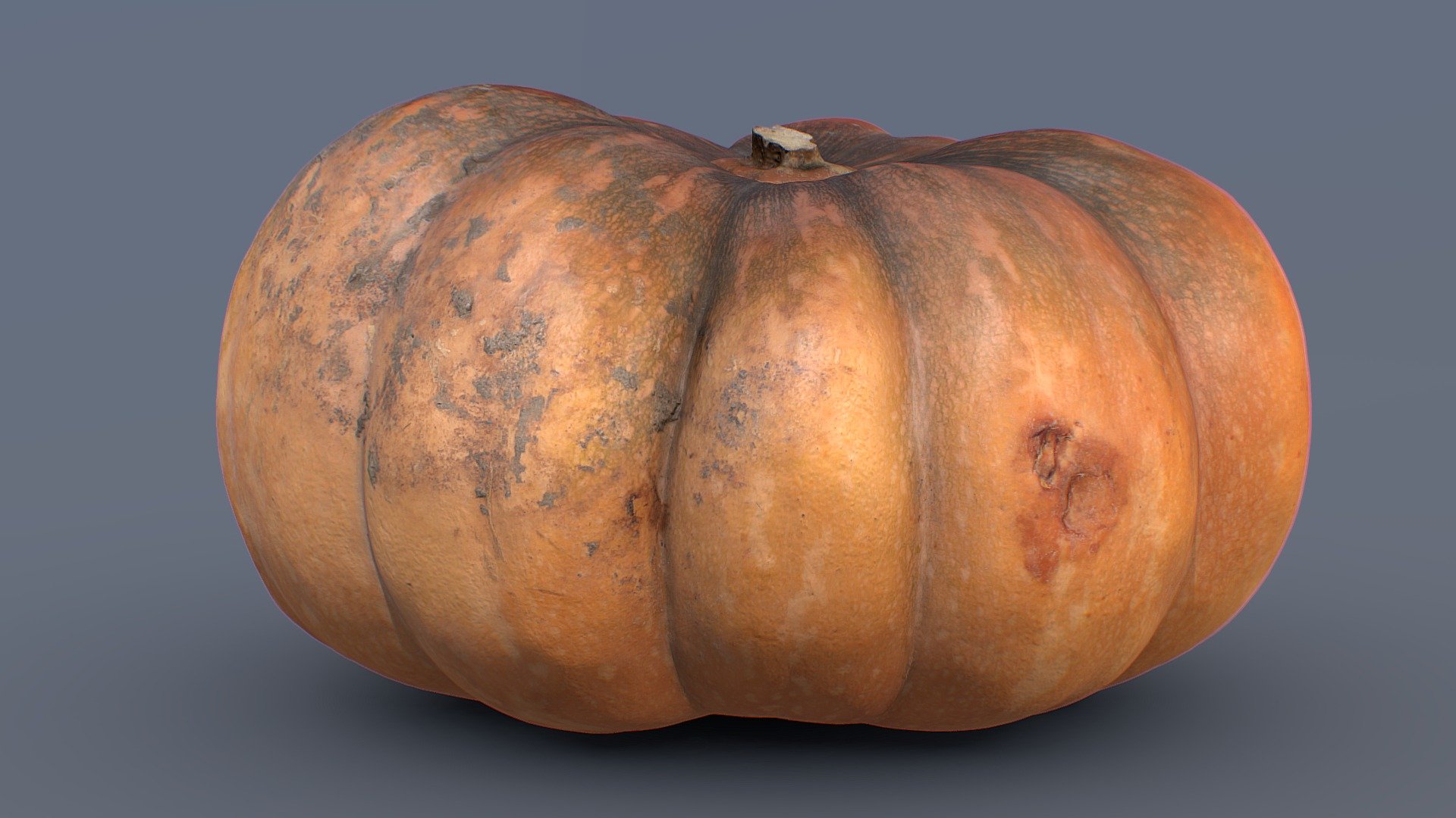 Cinderella Pumpkin 3d model