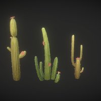 Cactus