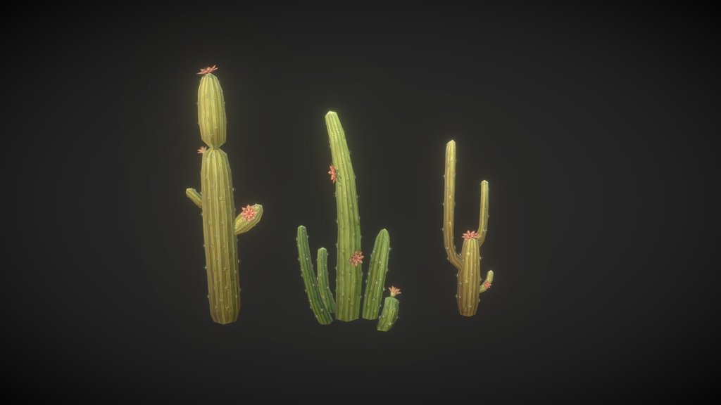 Cactus 3d model