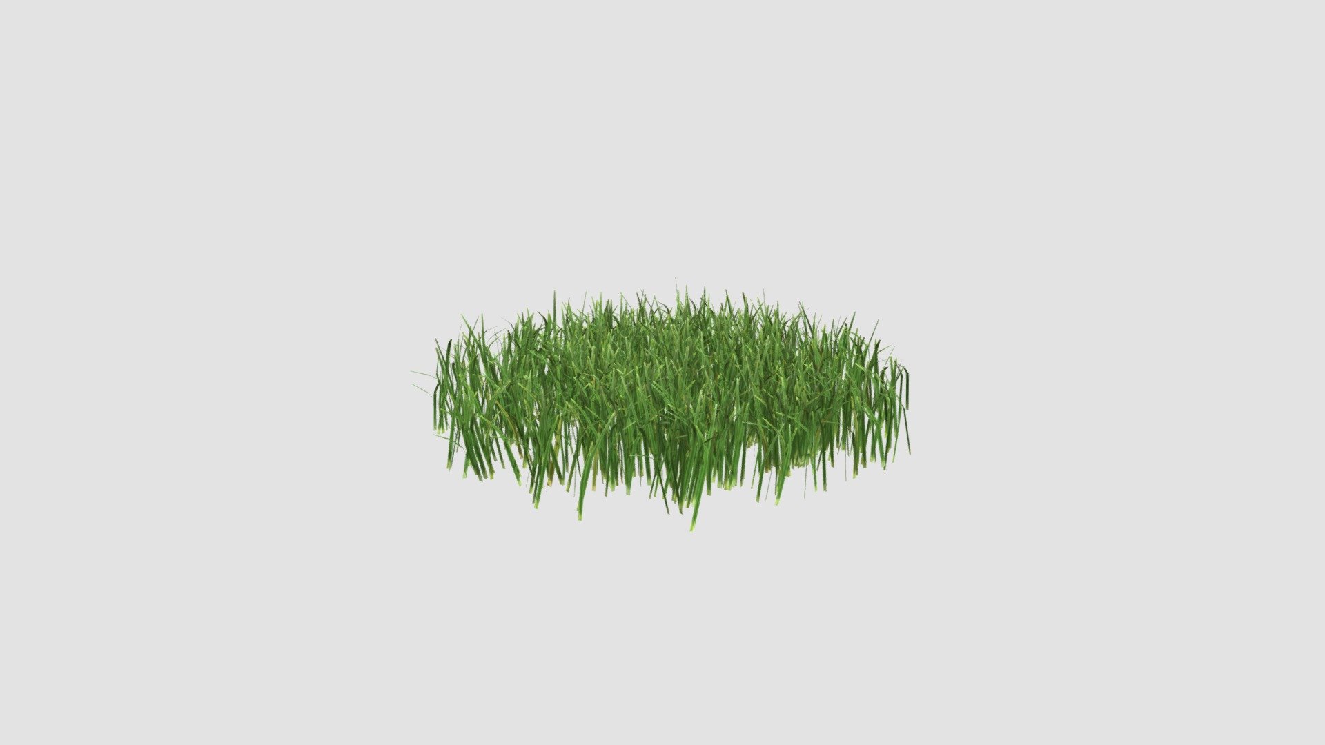 simple grass medium 3d model