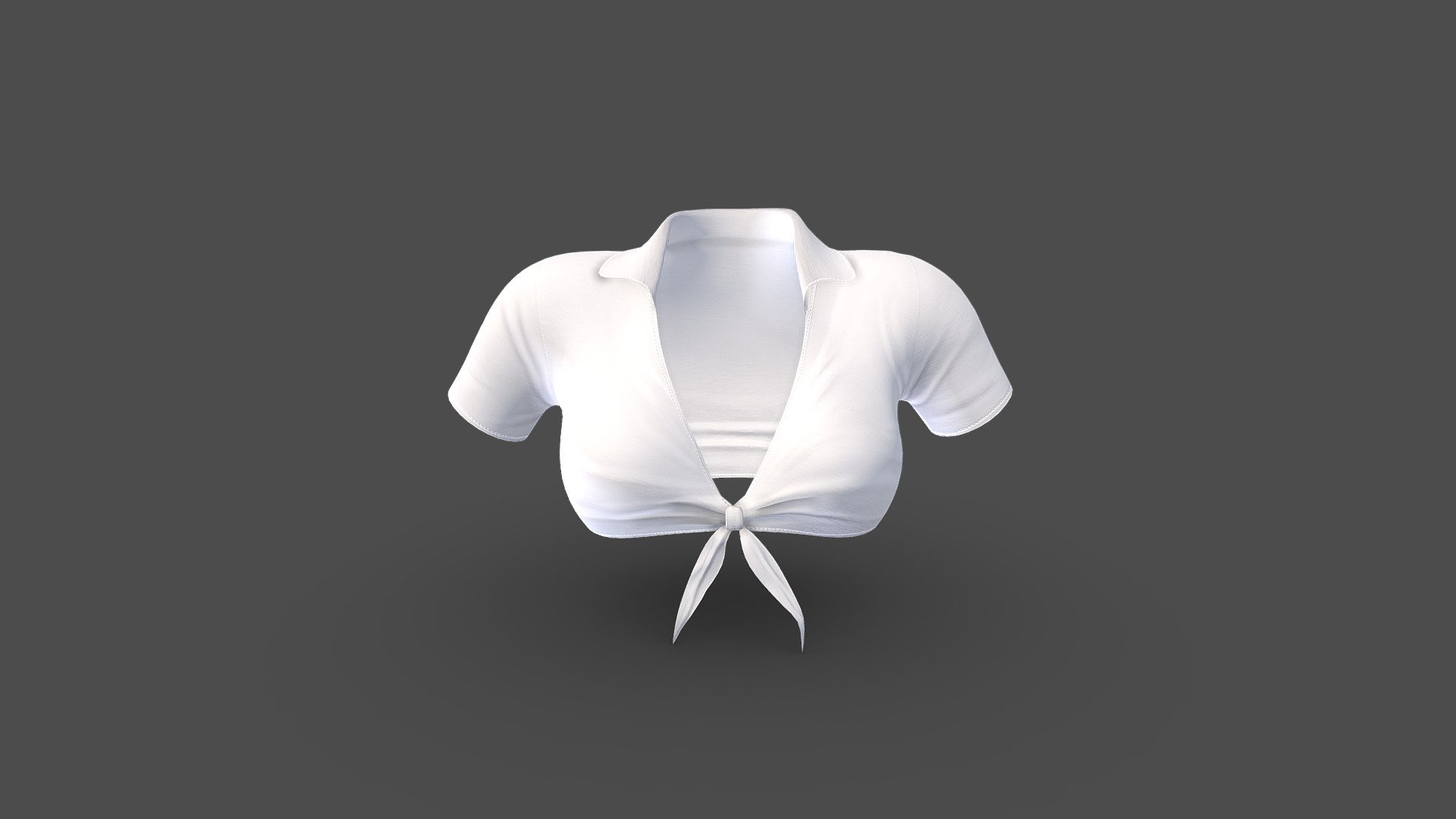 Female Knot Tied Front Mini Crop Top 3d model