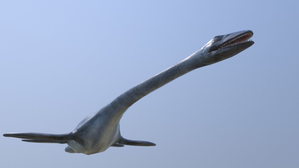 Elasmosaurus 3d model