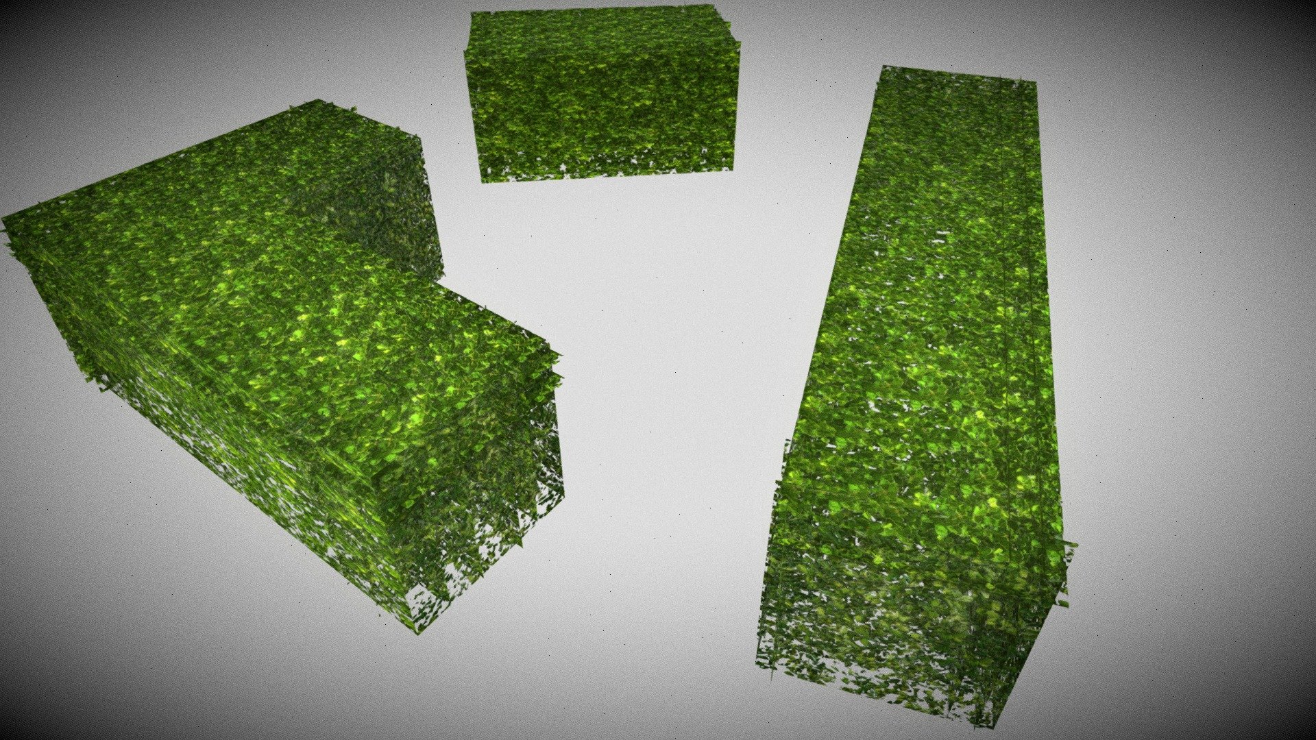 Green hedge 3d model