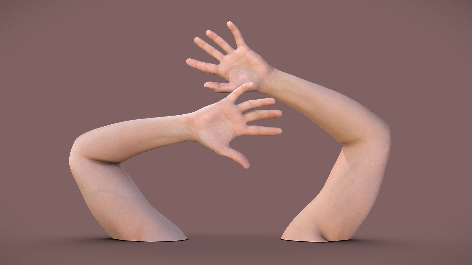 Female arms 3d model