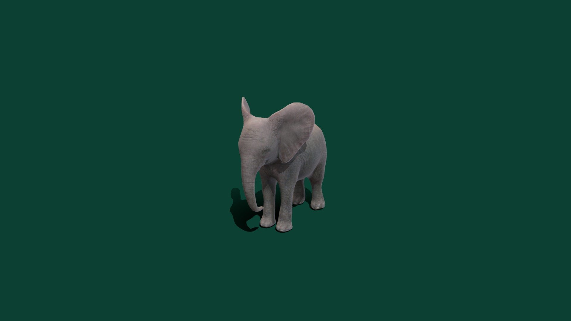 African Elephant Baby 3d model