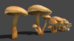 Mushroom_2