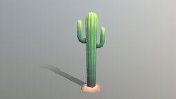 Low Poly Cactus