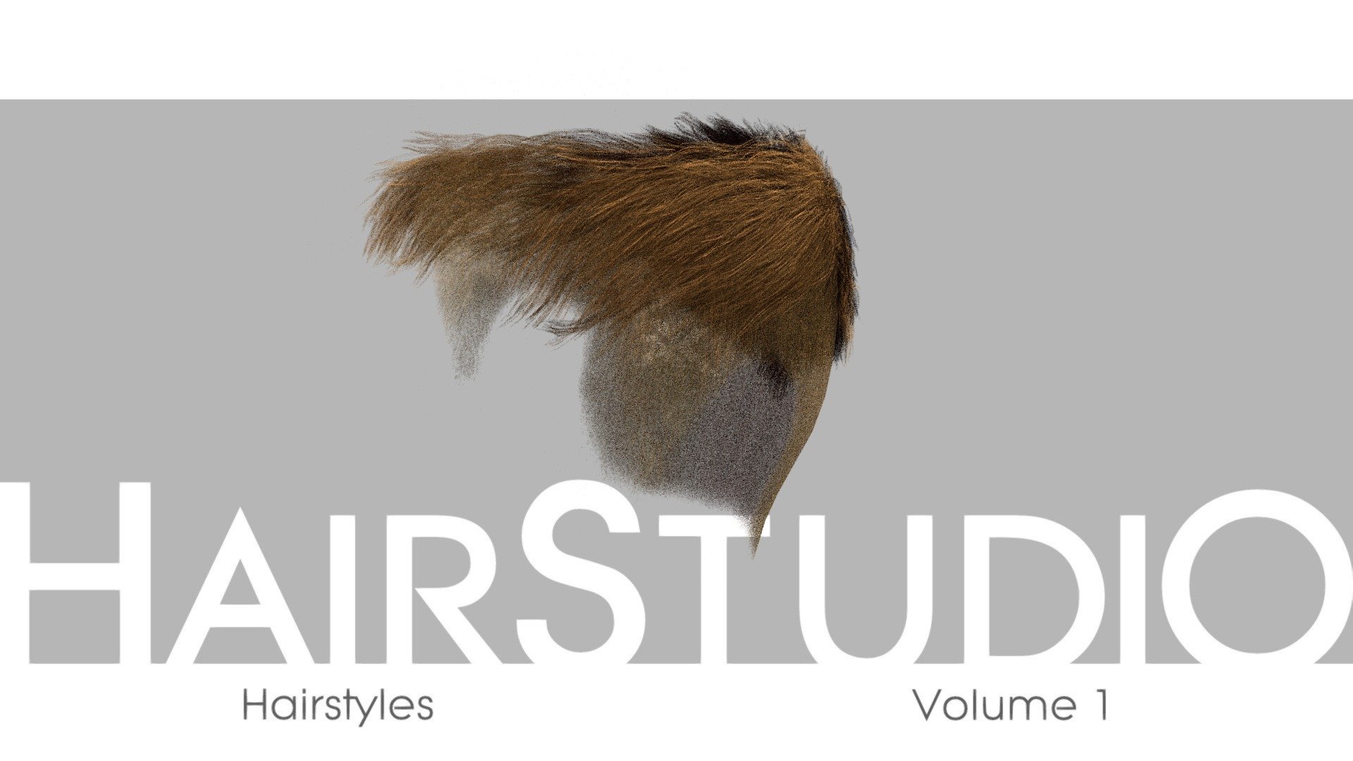 HairStudio Vol.01 3d model