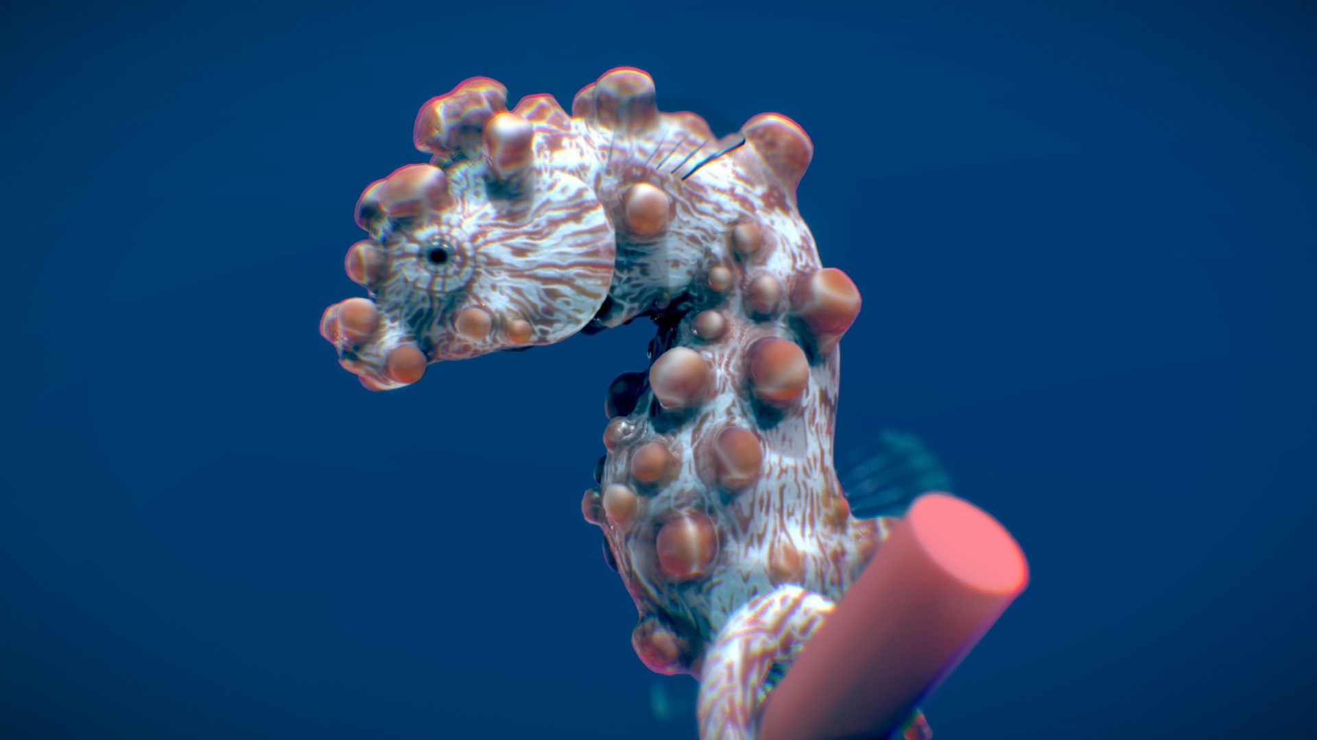 Bargibants Seahorse 3d model