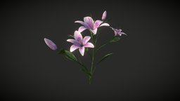 Purple lilies