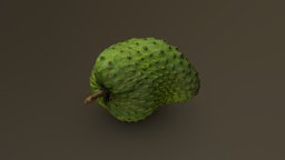 Soursop (Graviola) 02