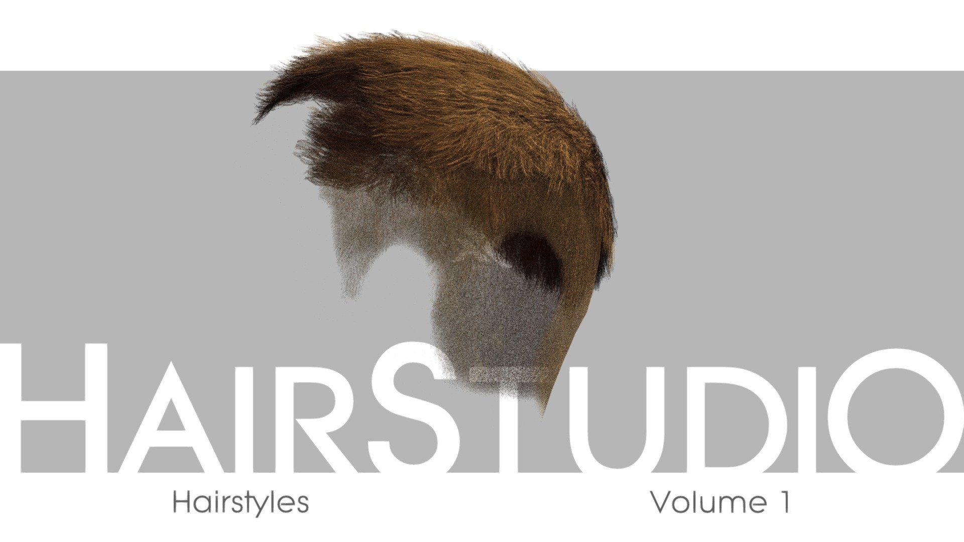 HairStudio Vol.01 3d model